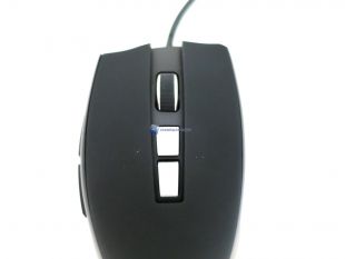 Feenix-Vitesse-10