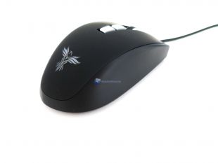 Feenix-Vitesse-14