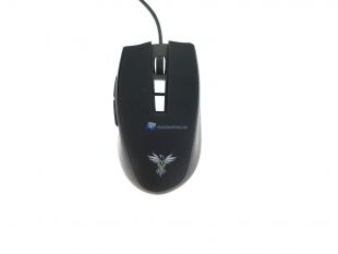 Feenix-Vitesse-6