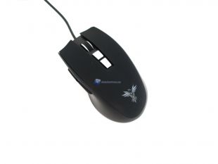 Feenix-Vitesse-7