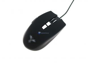 Feenix-Vitesse-8