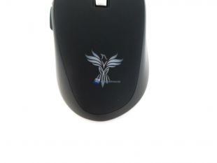 Feenix-Vitesse-9